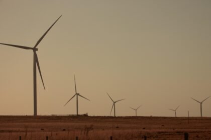 The Benefits of Green Certifications for Island Properties in America