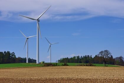 The Role of Renewable Energy in Sustainable Island Developments