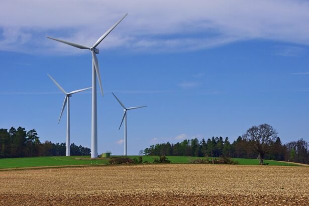 The Role of Renewable Energy in Sustainable Island Developments