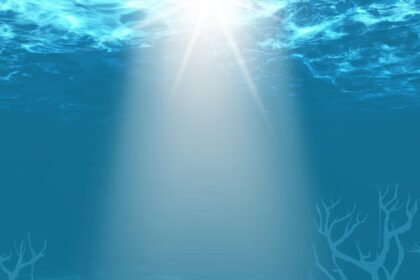 Building Green: The Impact of Sustainable Practices on Island Property Values