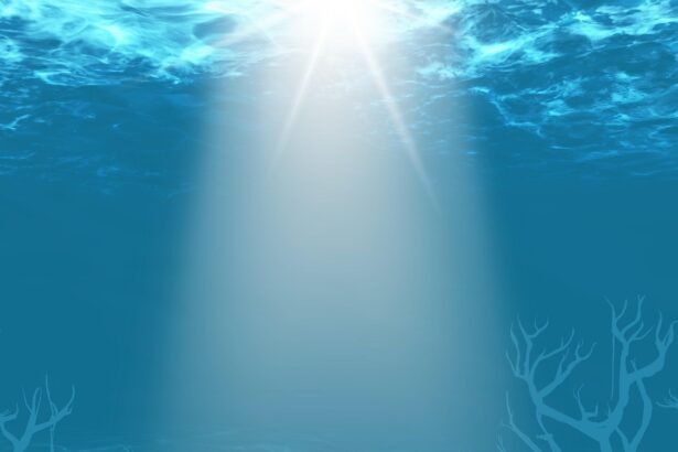 Building Green: The Impact of Sustainable Practices on Island Property Values