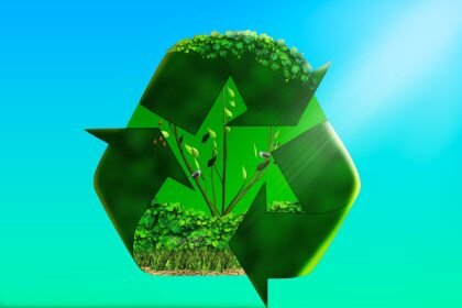 The Importance of Local Sourcing in Sustainable Island Construction