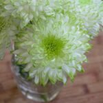 Analyzing the Luxury Real Estate Market in California