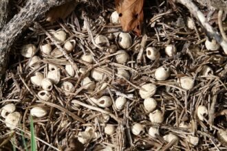 Understanding the Dynamics of Warehouse Leasing Amidst Supply Chain Disruptions