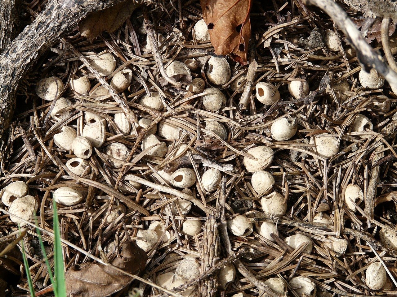 Understanding the Dynamics of Warehouse Leasing Amidst Supply Chain Disruptions