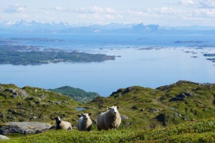 Eco-Conscious Homeowners: The Demand for Sustainable Island Retreats