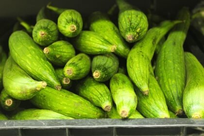 Strategies for Finding the Perfect Home in America