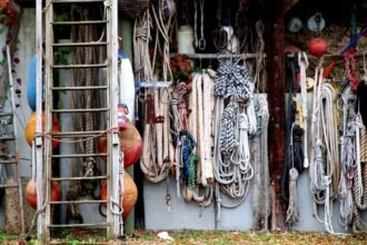 Crafting Compelling Narratives with Data Insights