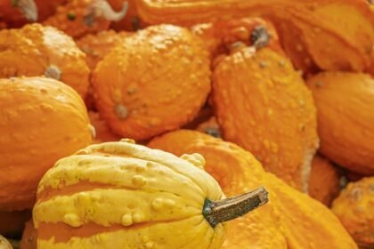 Understanding Current Trends in the U.S. Real Estate Market