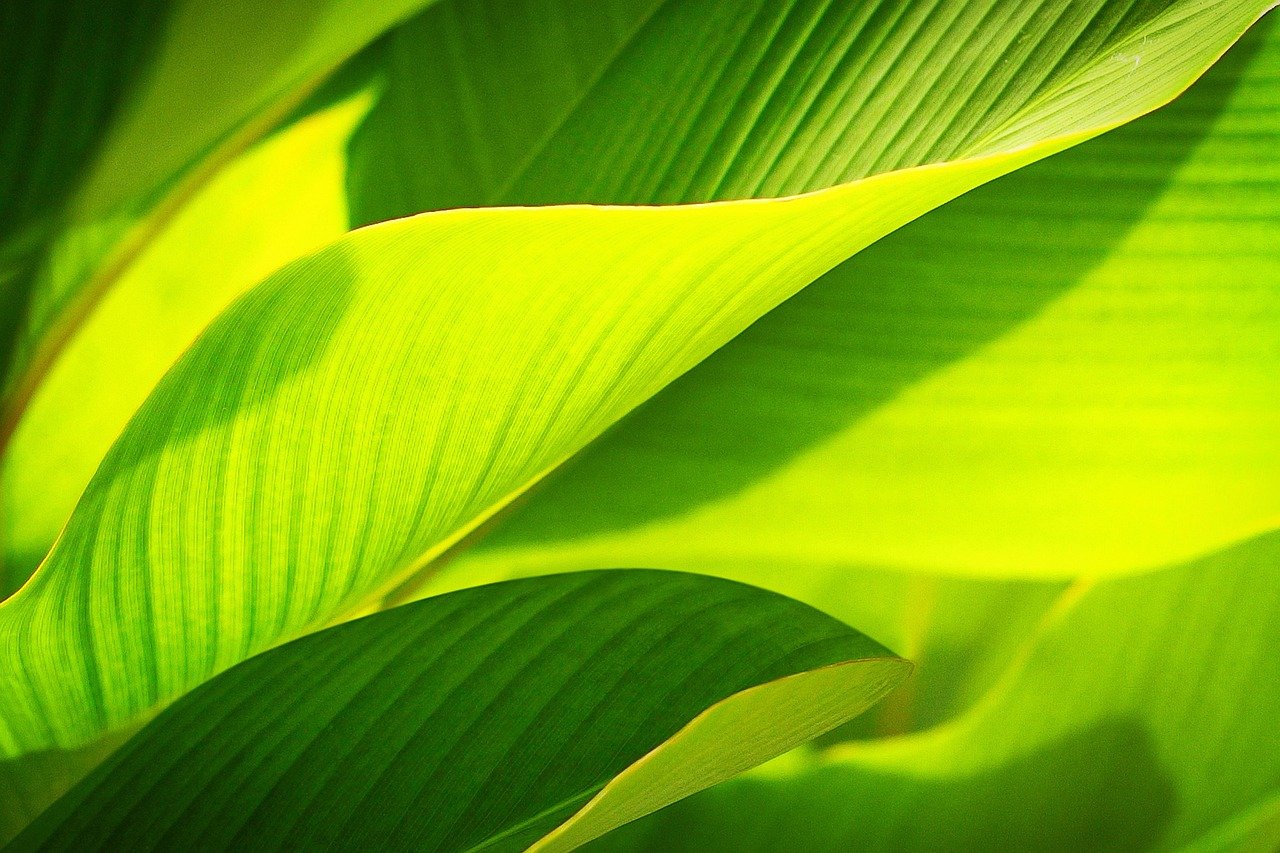 The Future of Island Living: Merging Sustainability with Luxury