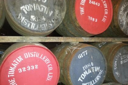 The Future of Insights: Trends Shaping the Industry