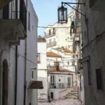 Trends in Luxury Rentals: Analyzing the Demand and Property Highlights