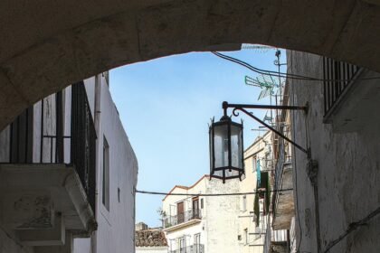 Trends in Luxury Rentals: Analyzing the Demand and Property Highlights