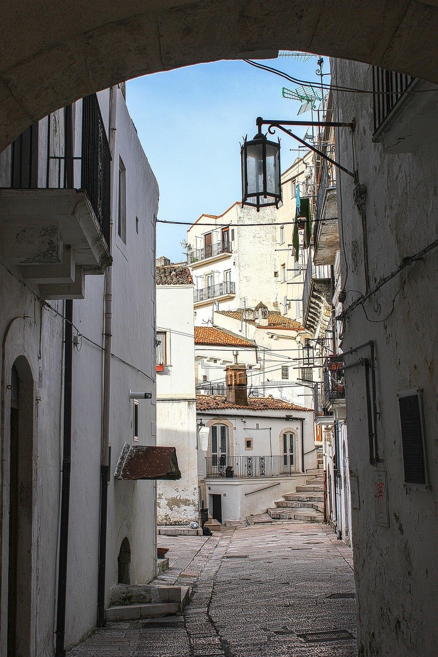 Trends in Luxury Rentals: Analyzing the Demand and Property Highlights