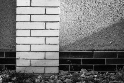 Understanding the Fluctuating Rental Prices in Major US Apartment Markets