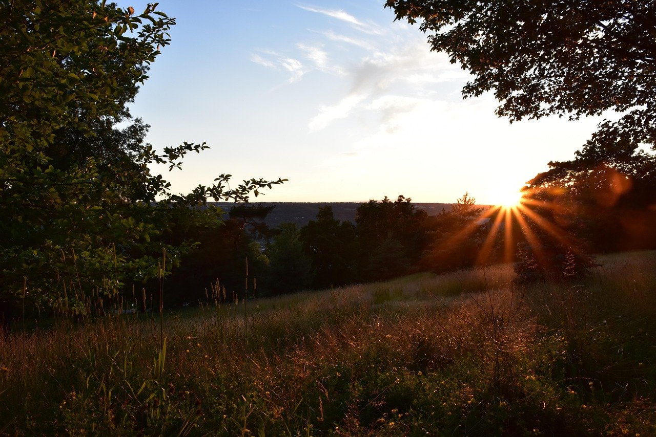 The Role of Technology in US Island Real Estate Transactions