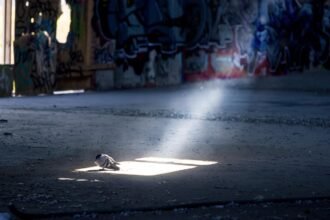 Exploring the Future of Last-Mile Delivery and Warehouse Integration