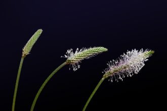 How Climate Change Affects Island Construction Plans