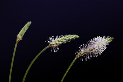 How Climate Change Affects Island Construction Plans