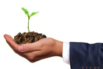 Sustainable Building Practices in Coastal America: A Shift Towards Eco-Friendly Design