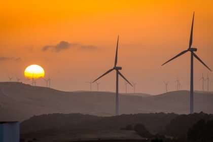 The Rise of Eco-Friendly Island Properties: Trends Shaping the Future of Real Estate