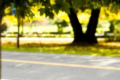 Navigating Home Inspections: What Every Buyer Should Know