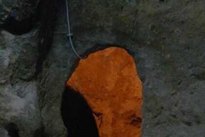 Insight into Urban Rental Markets: Trends Across Major U.S. Cities