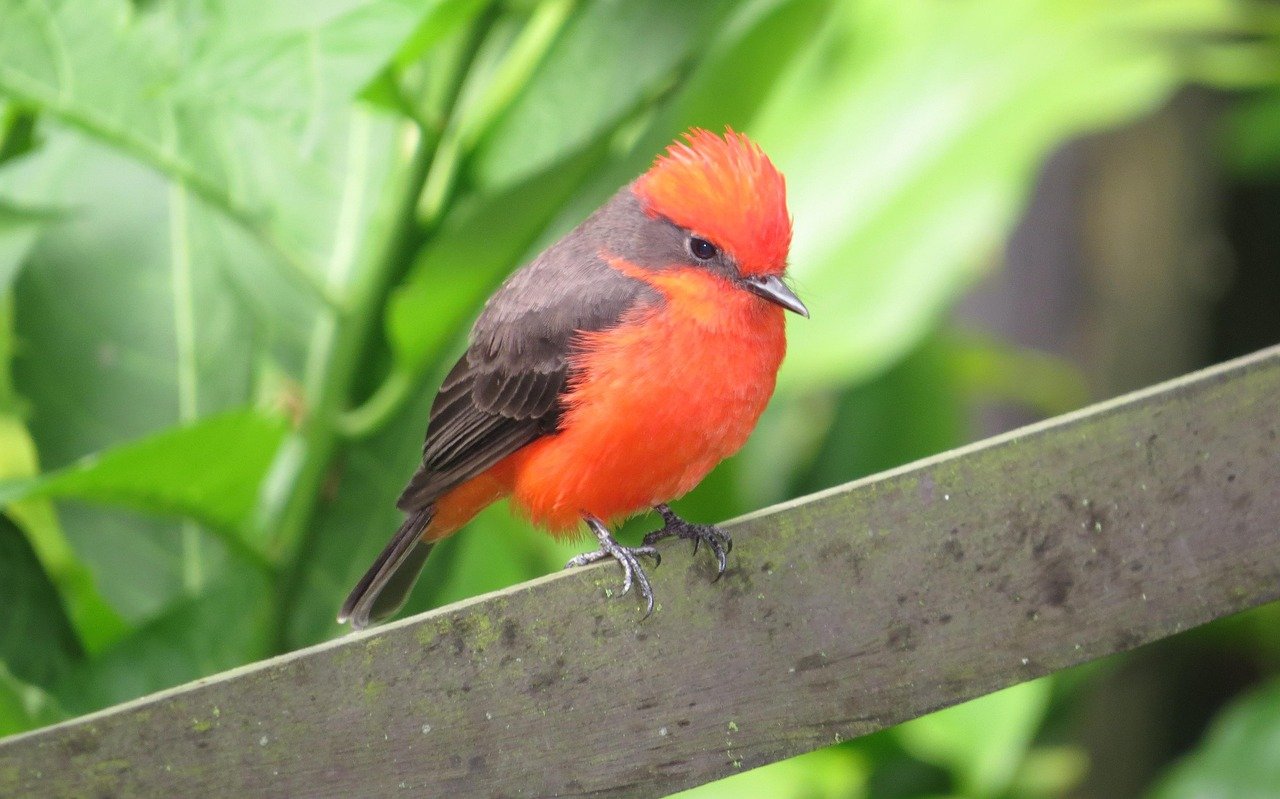 The Rise of Advanced Manufacturing in the Midwest