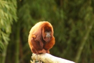 Exploring Pennsylvania's Diverse Industrial Ecosystem