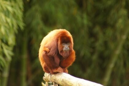 Exploring Pennsylvania's Diverse Industrial Ecosystem