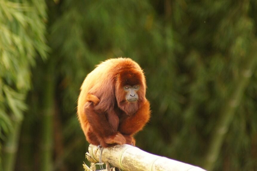 Exploring Pennsylvania's Diverse Industrial Ecosystem