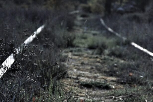 How Sustainable Construction is Redefining Island Living in the U.S.