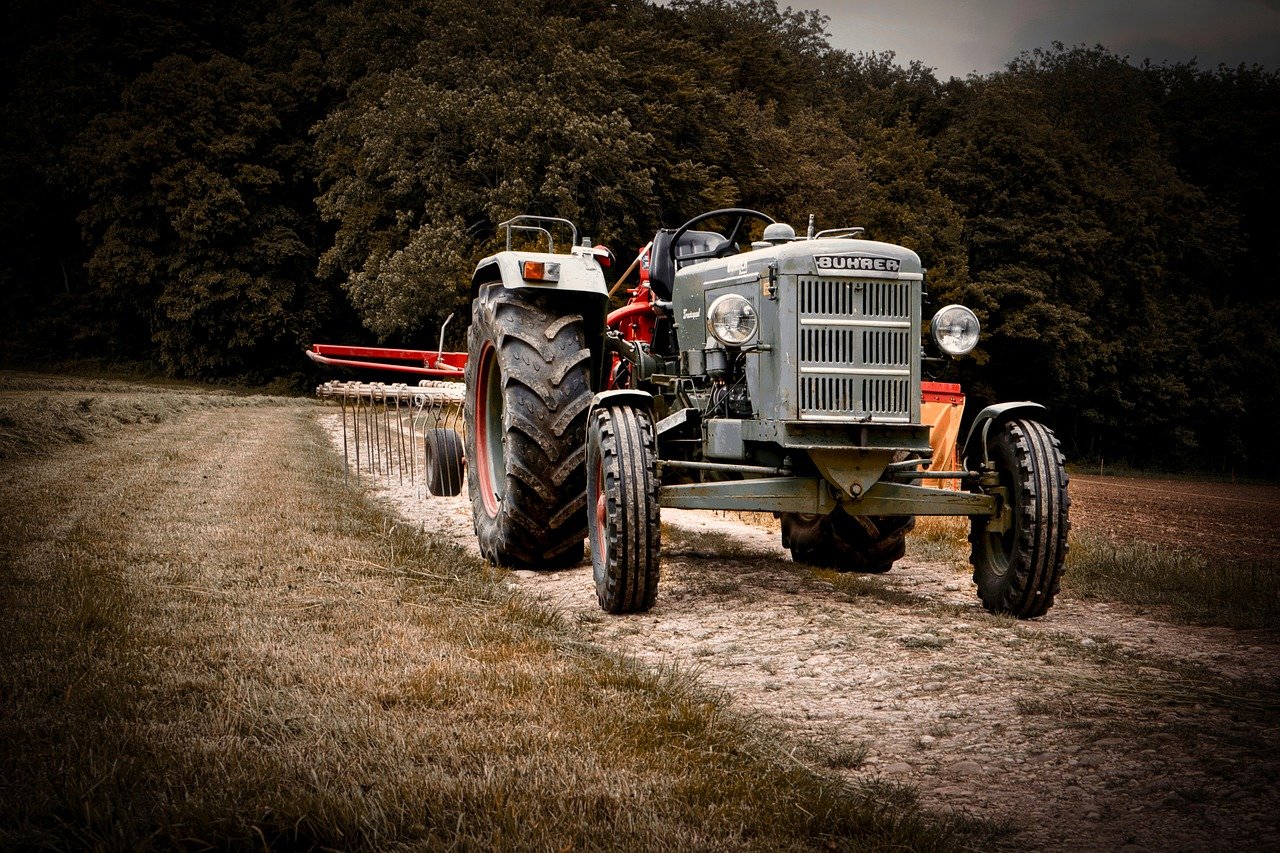 Examining Urbanization and Its Effect on Commercial Property Values