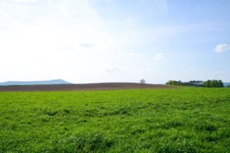 Community Gardens and Eco Homes: Reviving U.S. Island Life