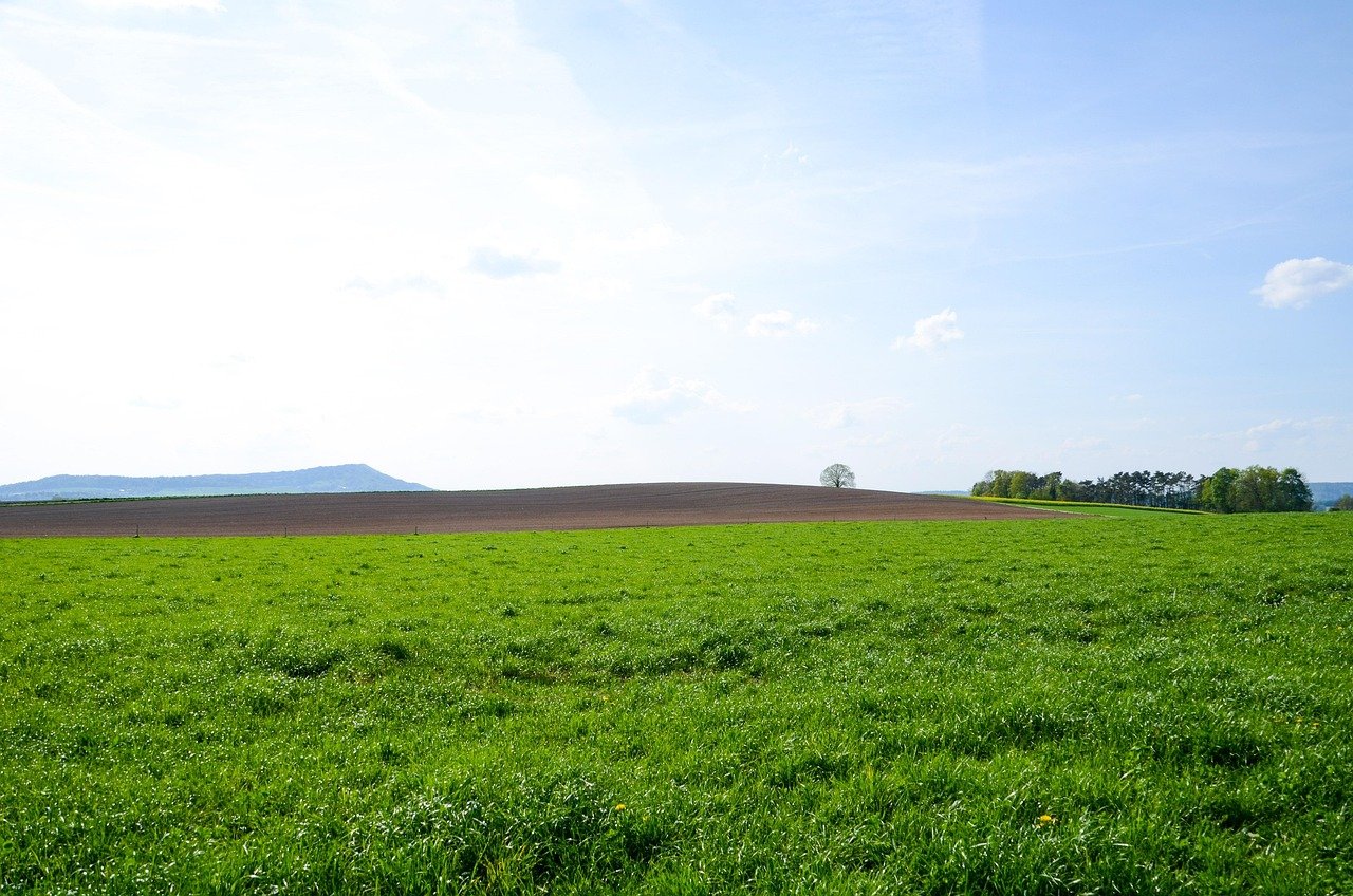 Community Gardens and Eco Homes: Reviving U.S. Island Life