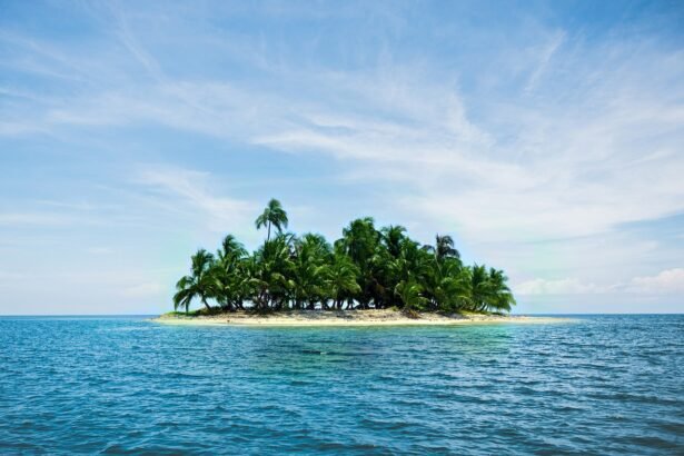 Revitalizing Paradise: The Latest Commercial Ventures on American Islands