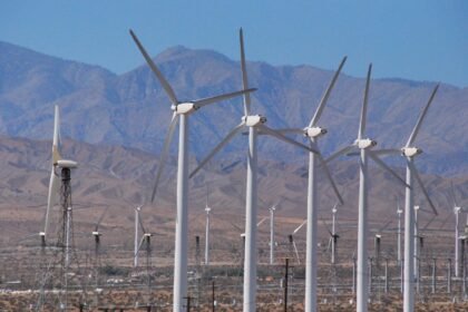 Restorative Real Estate: Eco-Friendly Homes in the Florida Keys