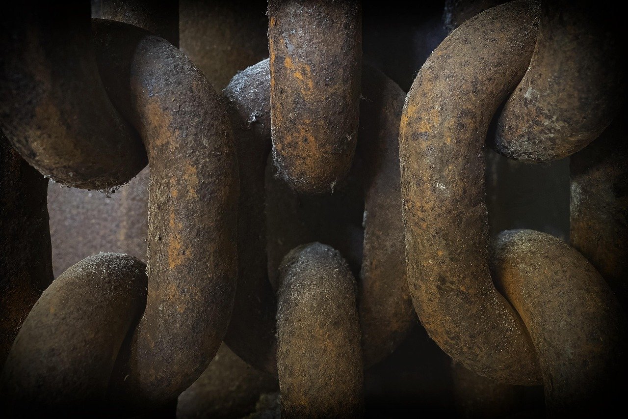 The Role of Automation in Modern American Supply Chains