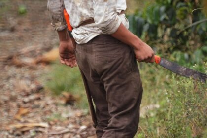 The Impact of E-Commerce on Industrial Property Development