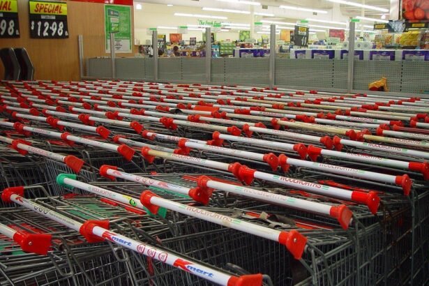 Retail Properties Adapting to E-Commerce Challenges