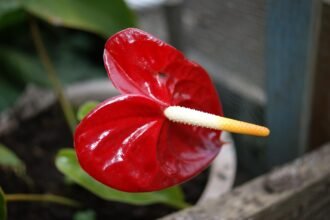 Top Industrial Markets to Watch in the Next Decade