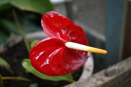 Top Industrial Markets to Watch in the Next Decade