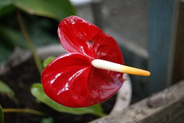 Top Industrial Markets to Watch in the Next Decade