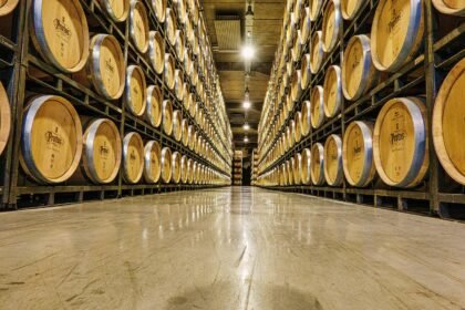 Harnessing Insights for Data-Driven Decision Making