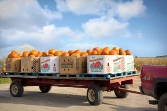Enhancing Transportation Networks Through Supply Chain Investments