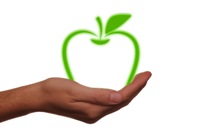 Charming Eco Homes: Blending Nature with Modern Architecture on U.S. Islands