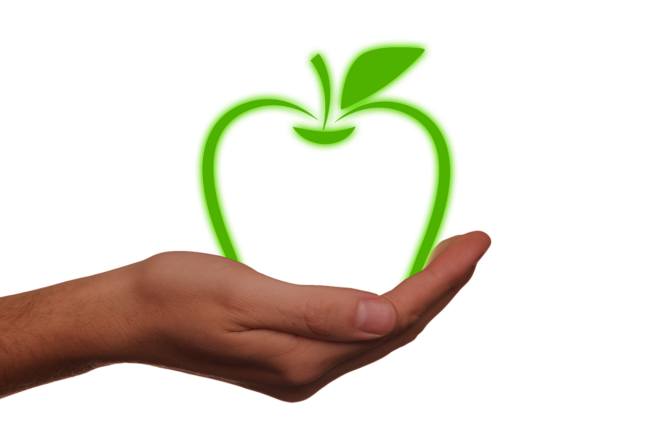 Charming Eco Homes: Blending Nature with Modern Architecture on U.S. Islands