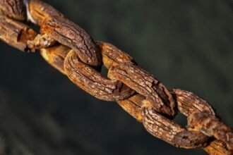 Supply Chain Innovations: Integrating AI to Streamline Property Management