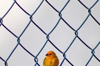 The Impact of Technology on Transportation in Supply Chain Property Developments