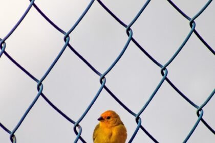 The Impact of Technology on Transportation in Supply Chain Property Developments